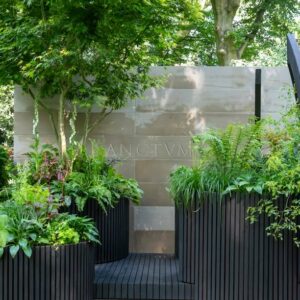 sanctum 6