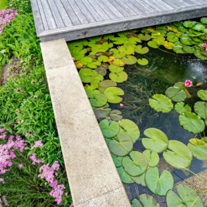 natural buff pool coping 1